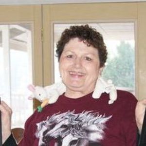 Meet your Posher, Joyce